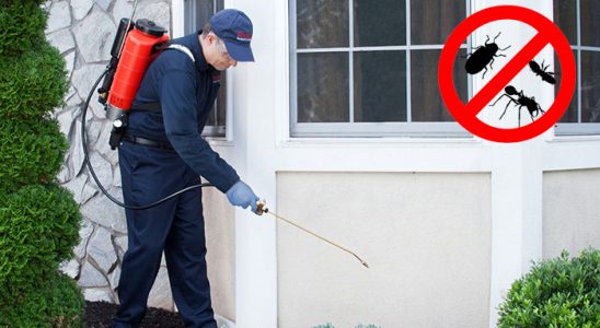 Köşk Böcek İlaçlama böcek ilaçlama ve haşere kontrolü — ilaclama-tr.com